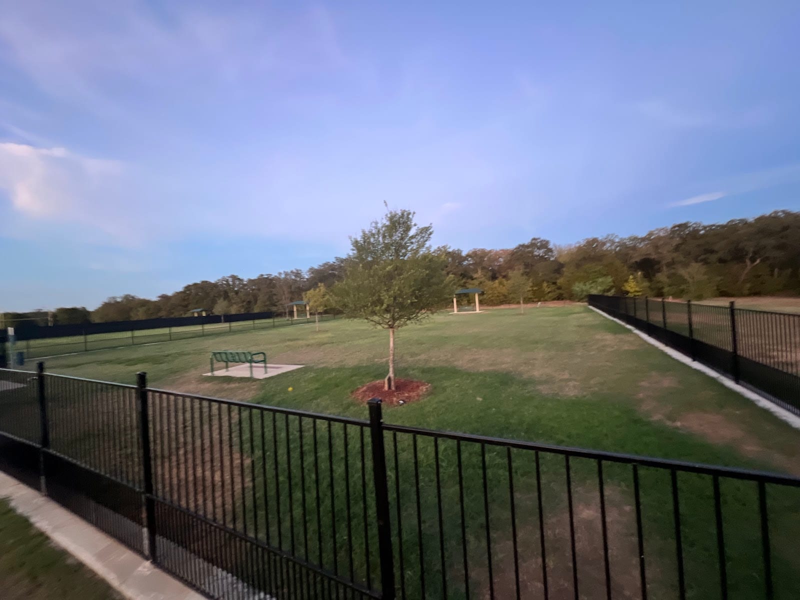 The Bark Park, photo 2