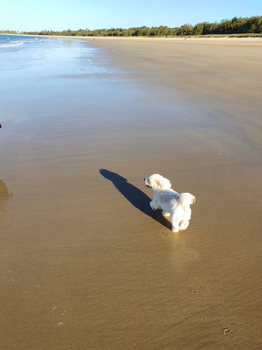 Seaview Park - Off Leash Dog Beach, photo 2