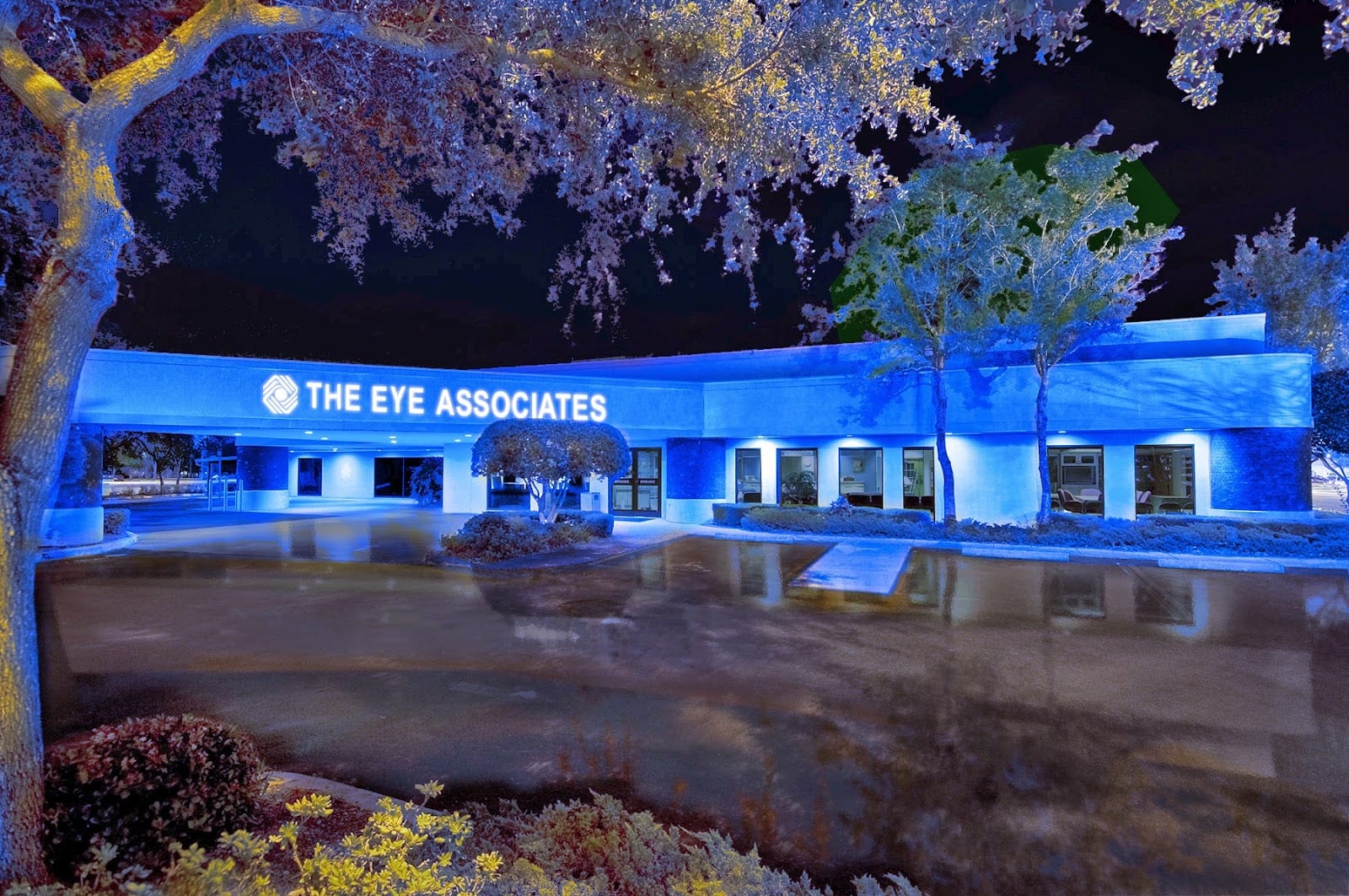 The Eye Associates - Sarasota, photo 2