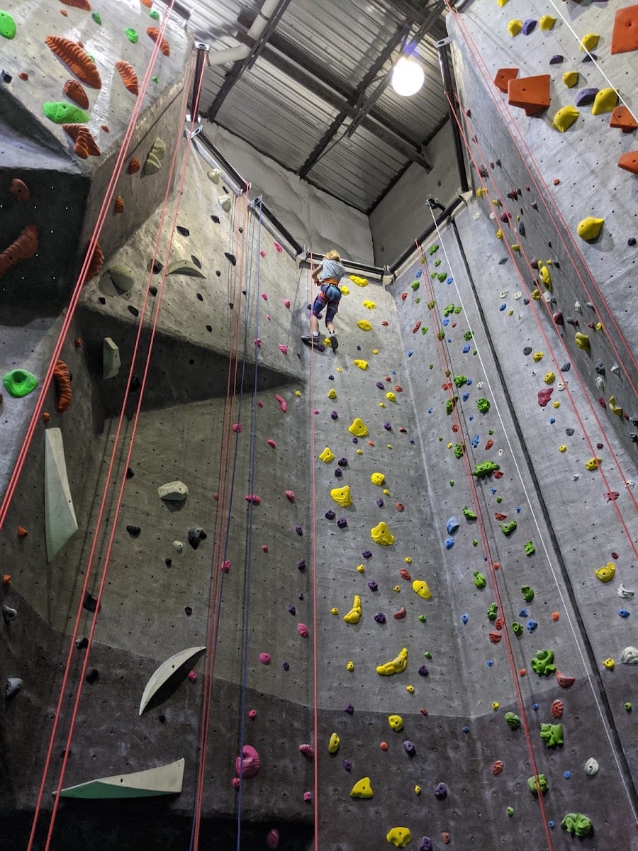 Elevation Rock Gym