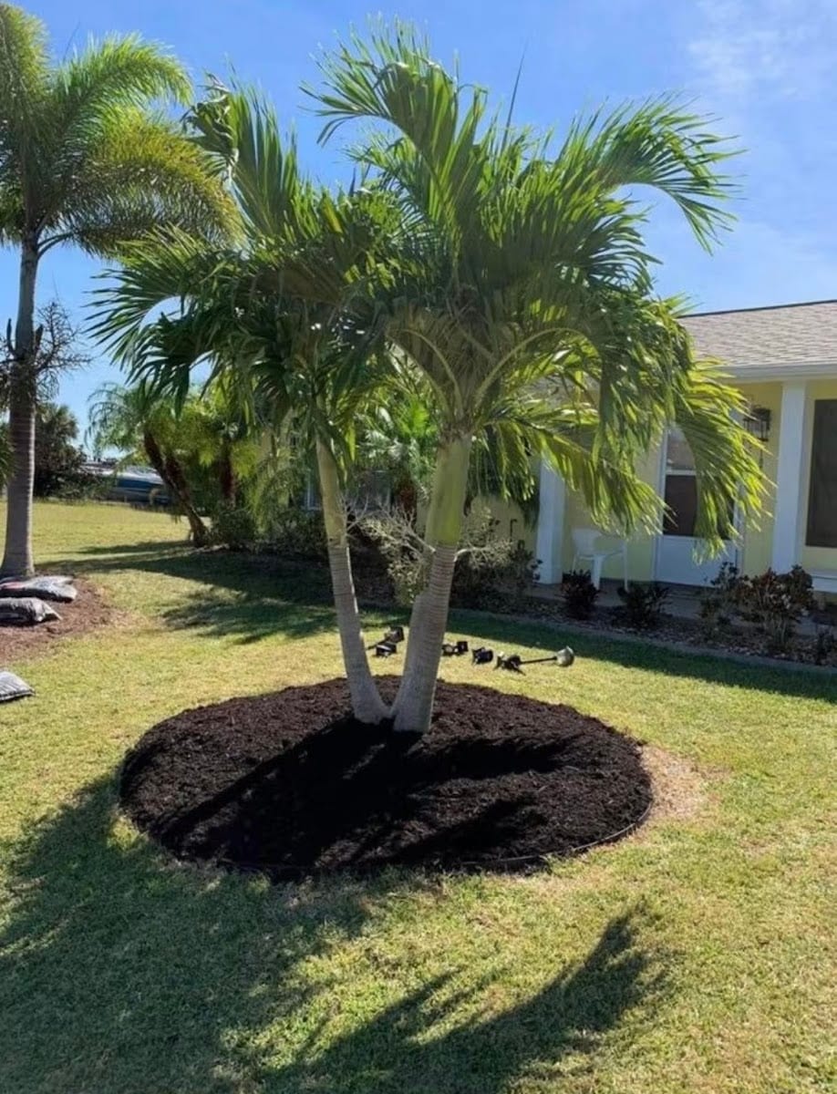Elias Sunshine Landscape Llc