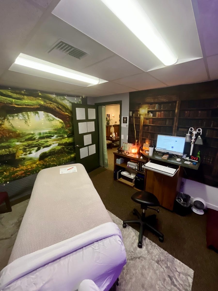 Reiki Massage Metaphysical Healing Service, photo 3