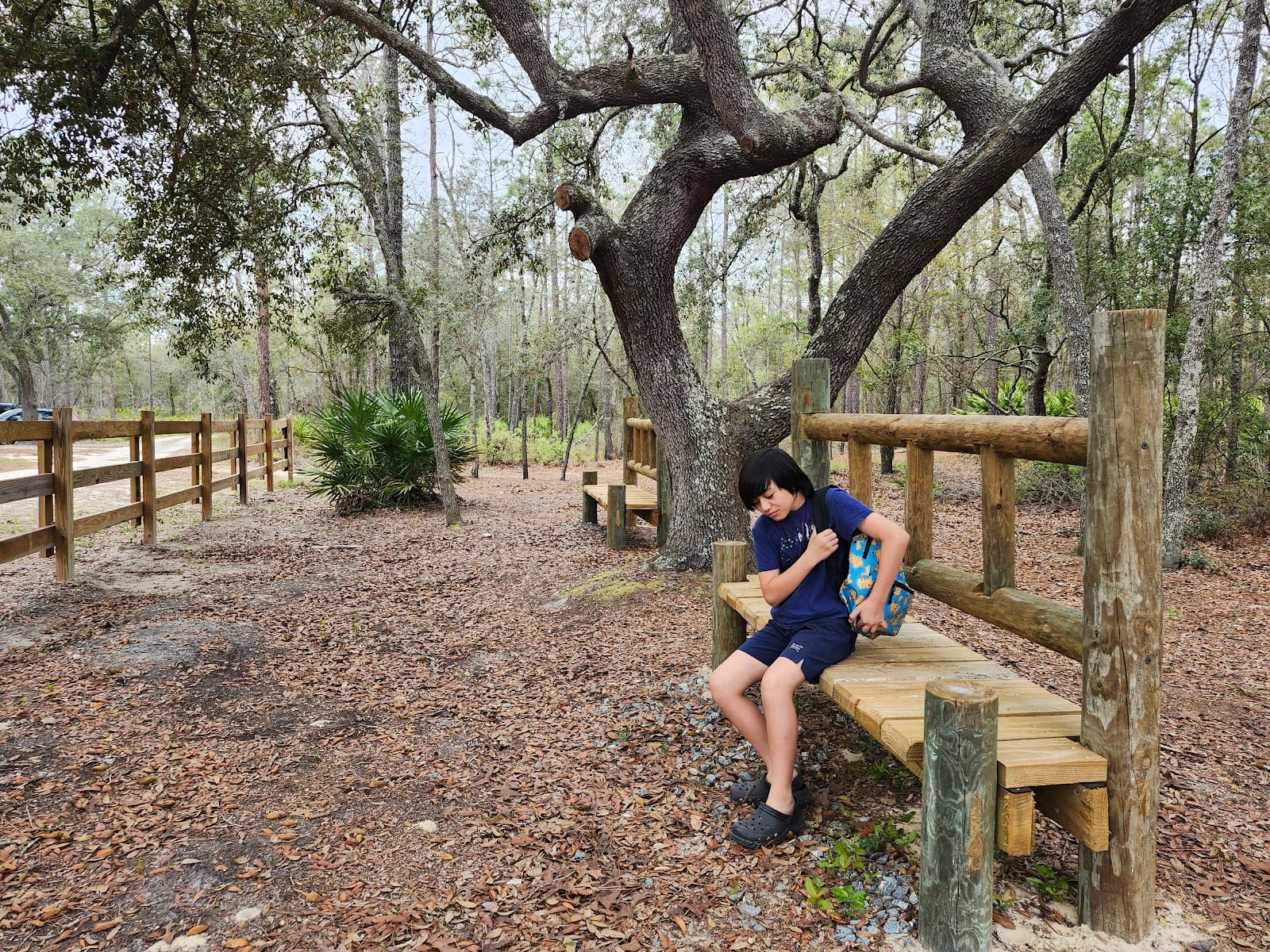 Clay Hill Tract Trailhead, photo 3