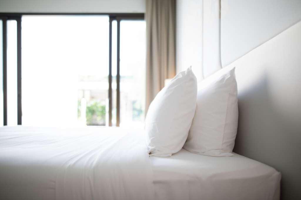 Vortex Bed Bug Solutions, photo 2