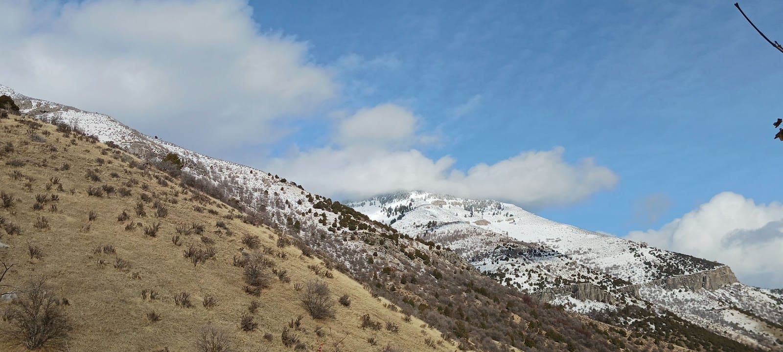 Bonneville Shoreline Trail Bench