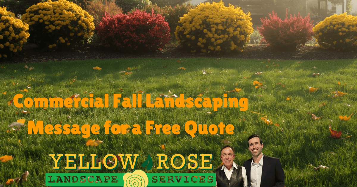 Yellow Rose Landscape Services, photo 2