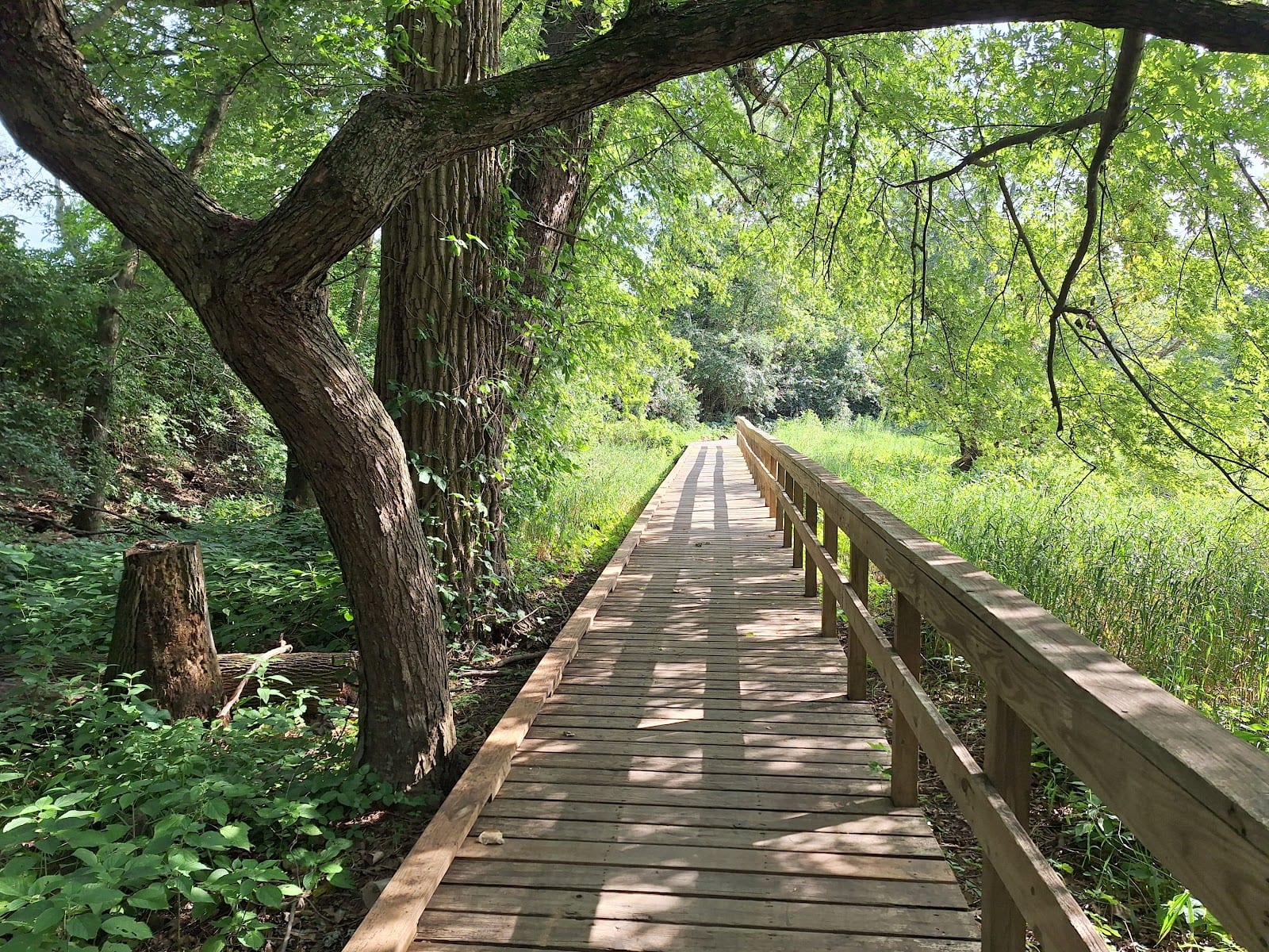 Killbuck Wetlands, photo 3