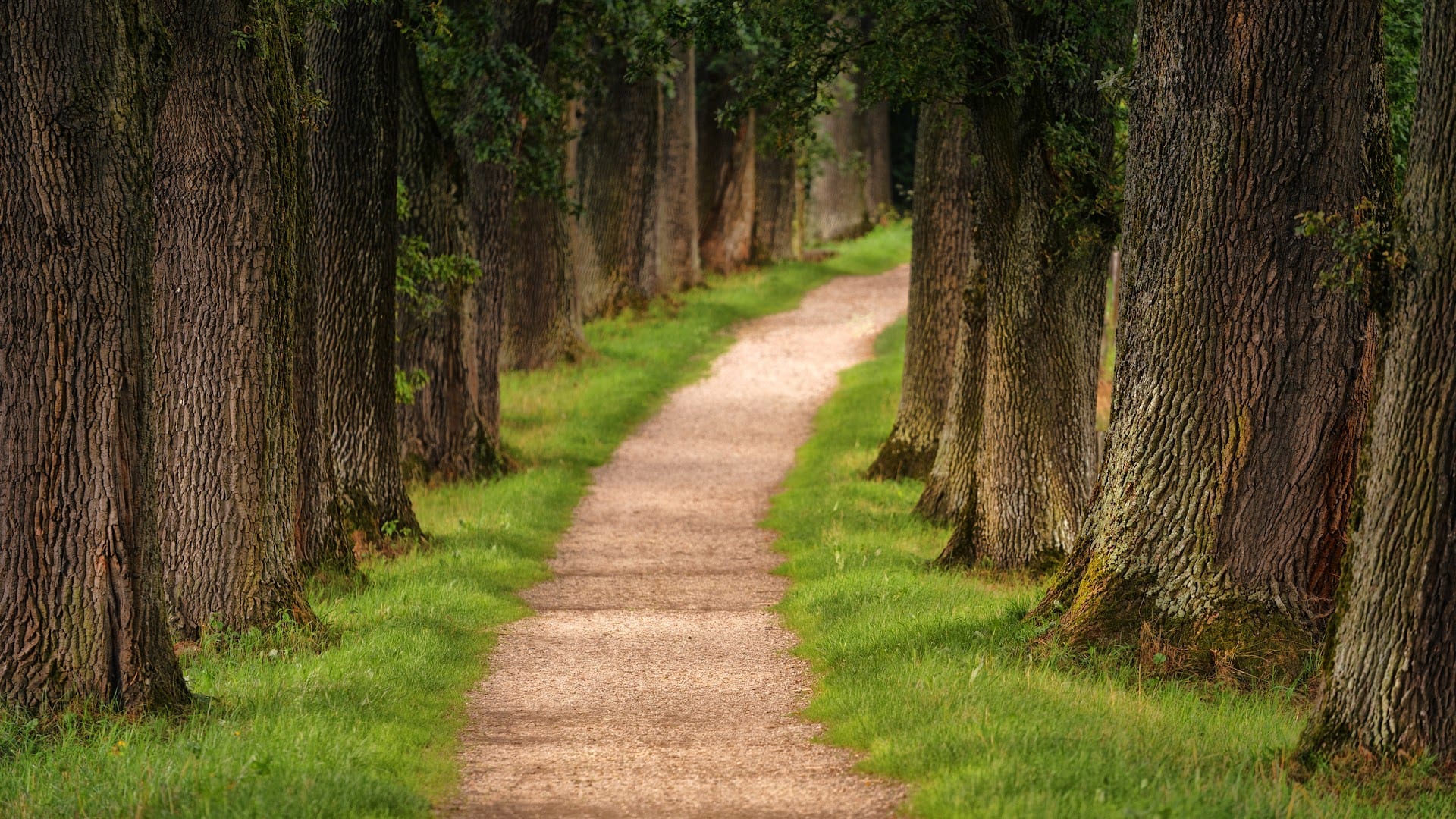 Pathways Counseling of Saratoga, P.C.