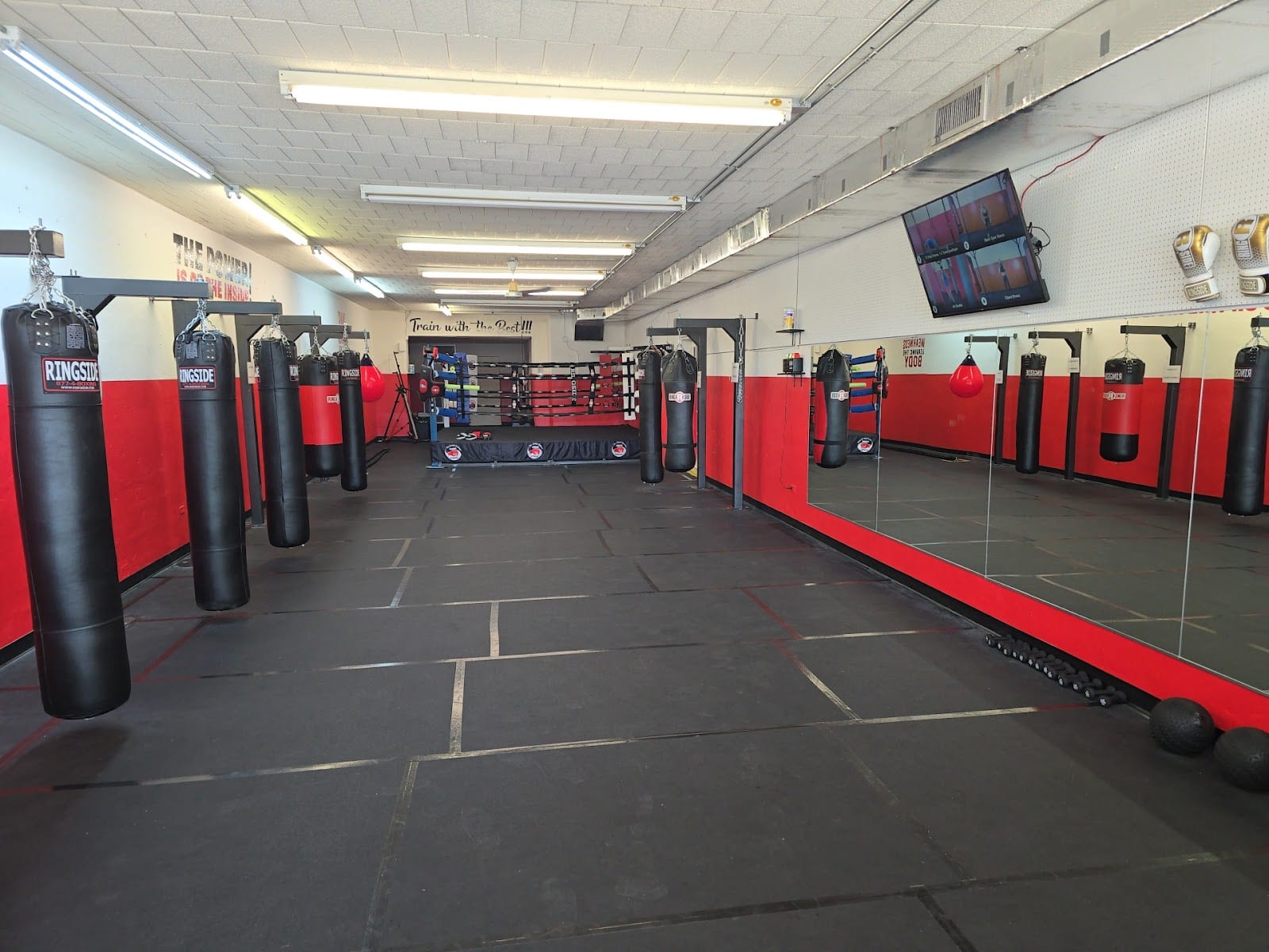 The Sweet Science Boxing Fitness