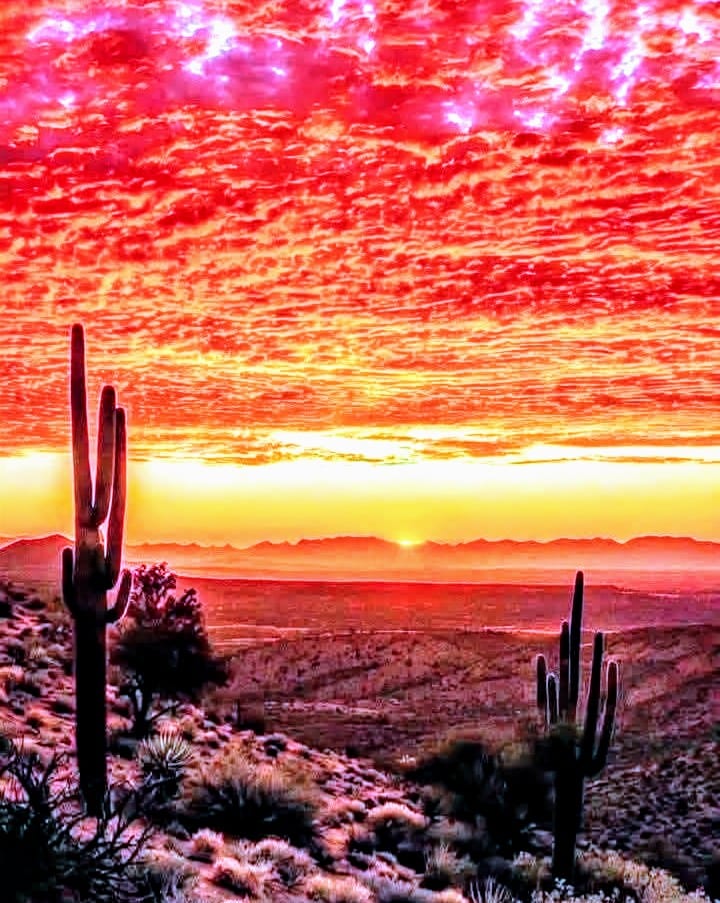 McDowell Sonoran Preserve
