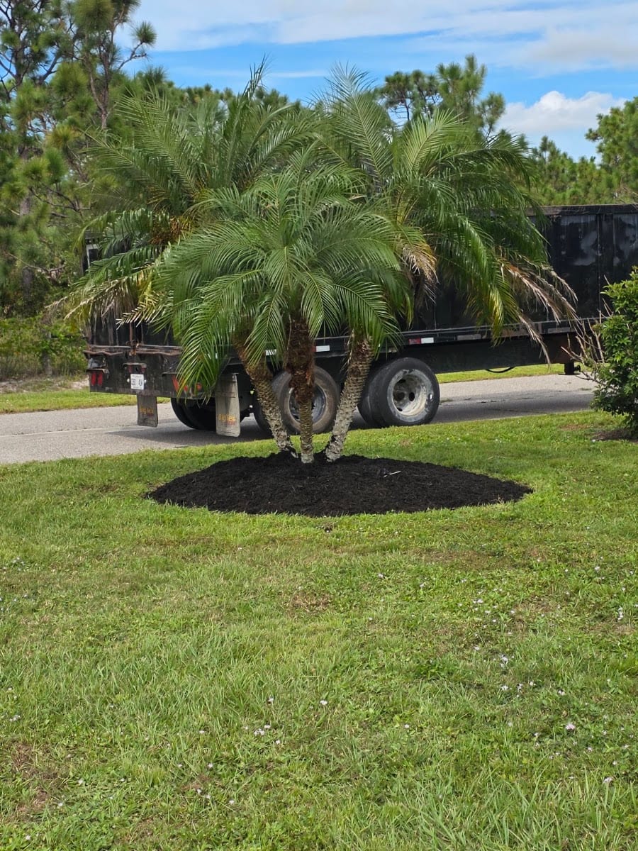 Dc's landscaping and trees service LLC, photo 3