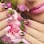 Attractive Nails Las Vegas