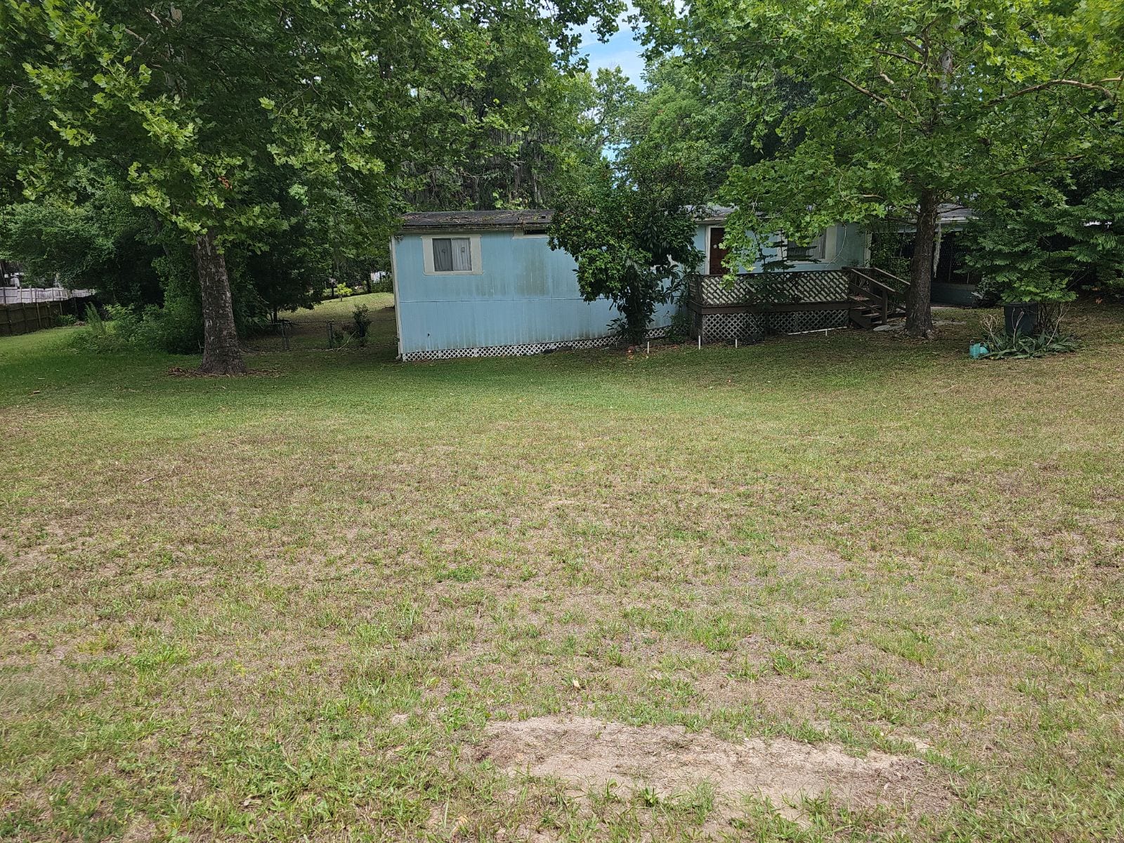 My Grass Guy, photo 3