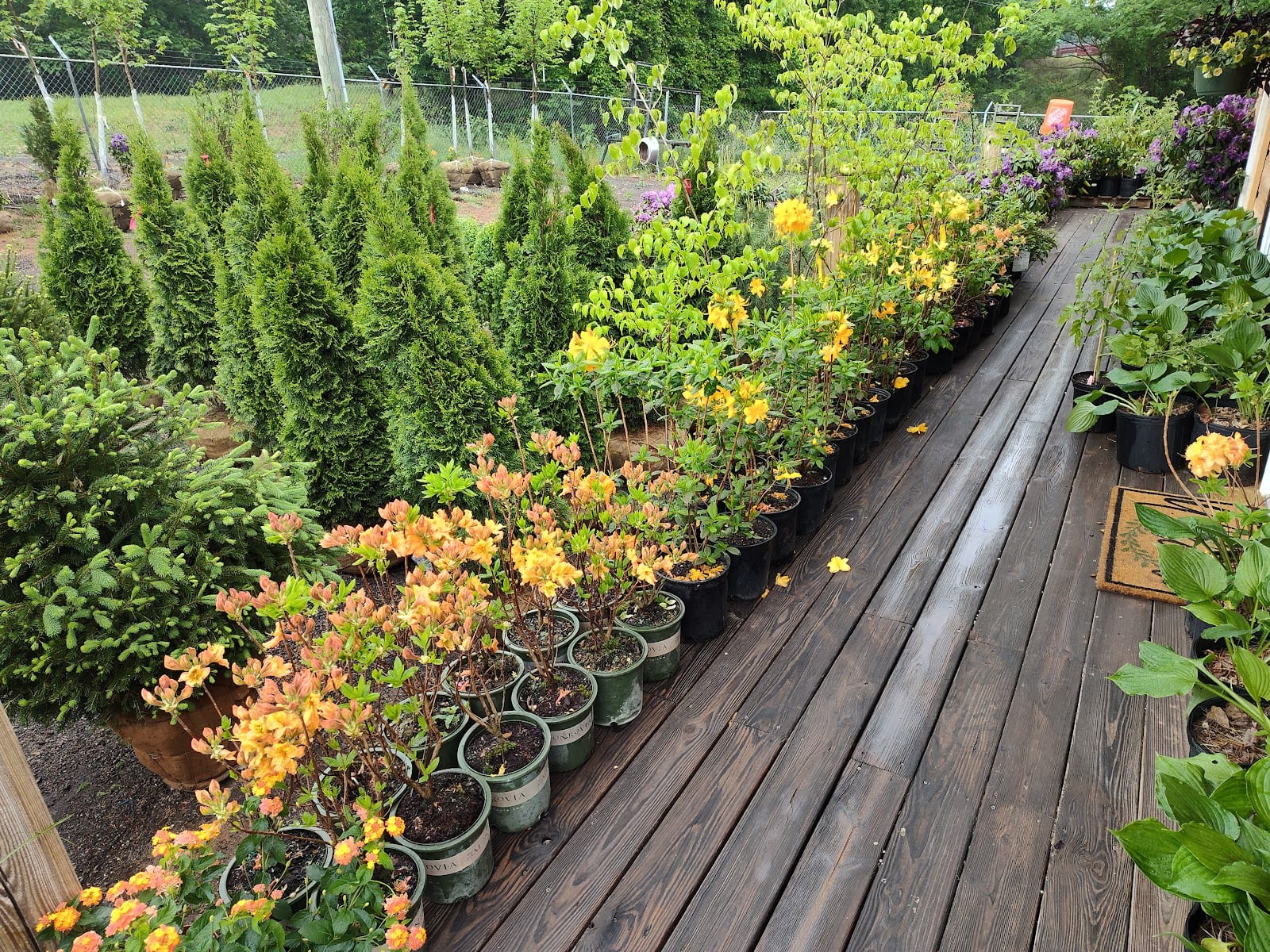 24 Landscape Supply