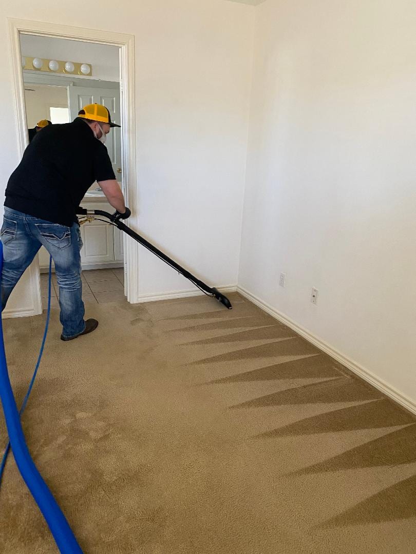 Carpet Shield, photo 3