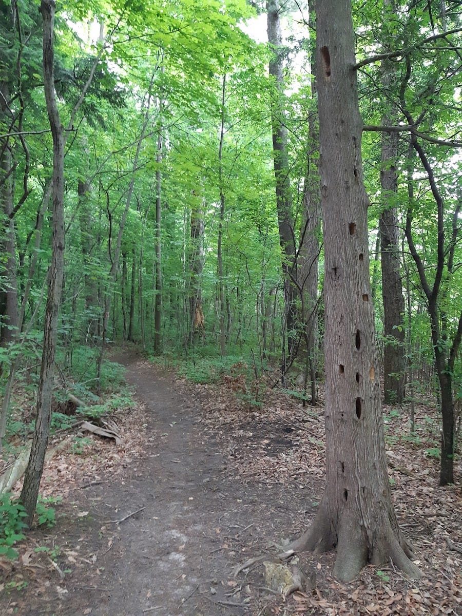 Hearthstone Valley Greenbelt, photo 3