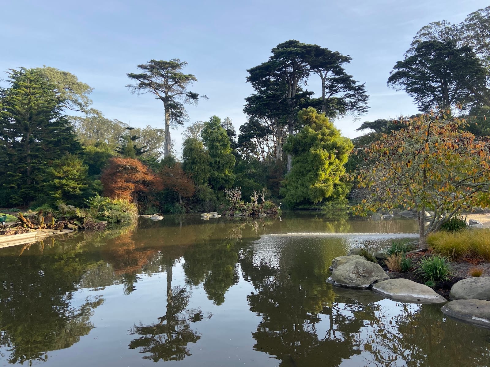 San Francisco Botanical Garden