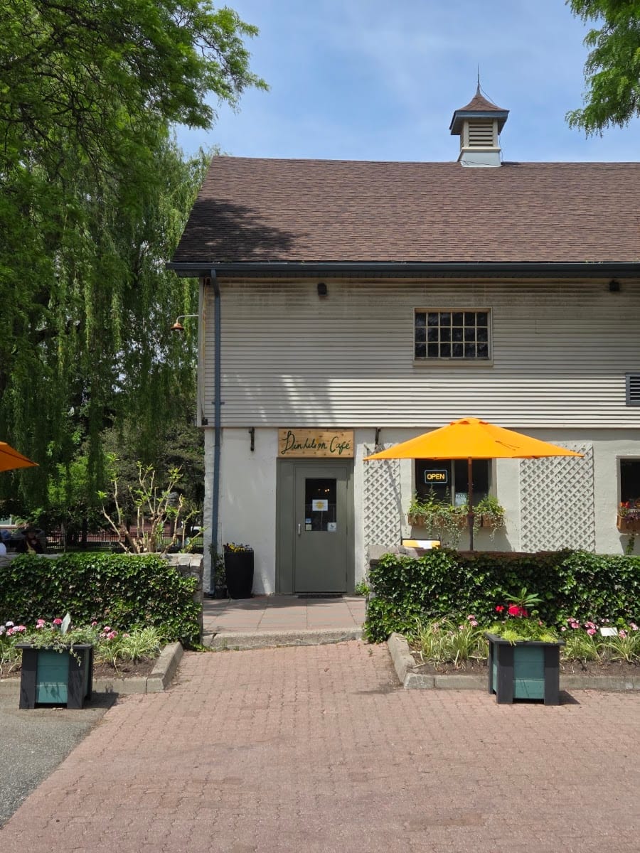 Dandelion Café, photo 2