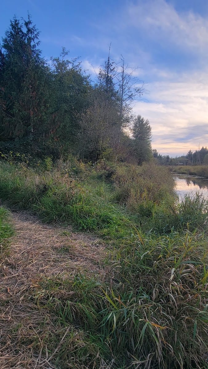 Black lake creek, photo 2