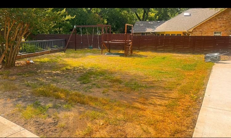 Scottsdale Landscaping Services, photo 3