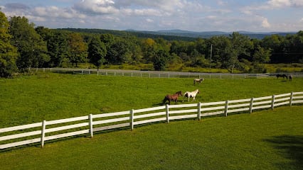 Horse and Home Estates