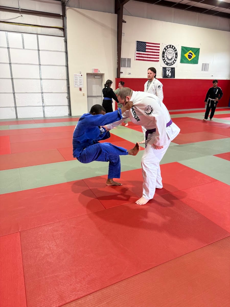 Nemesis Jiu Jitsu