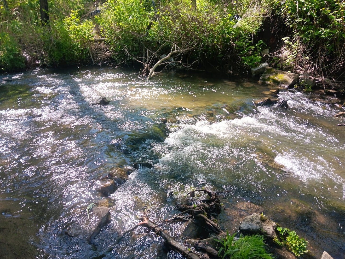 Spring Run Trail