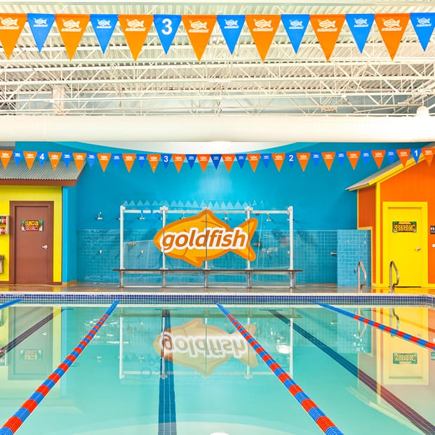 Goldfish Swim School - Centennial East, photo 3