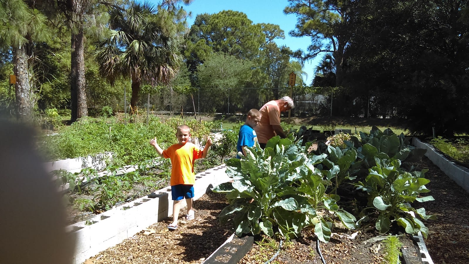 Suncoast Community Center