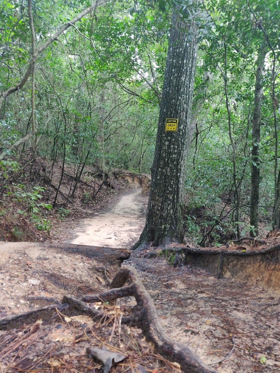 Memorial Park Green Ridge Trail