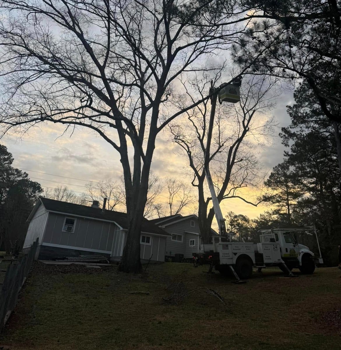 Walker's Tree Service, photo 2