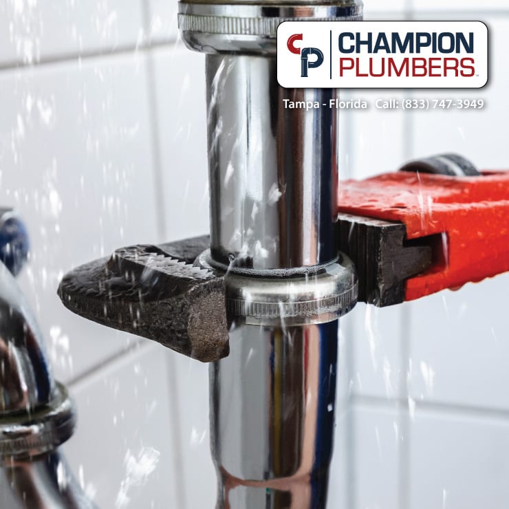 Champion Plumbers, photo 4