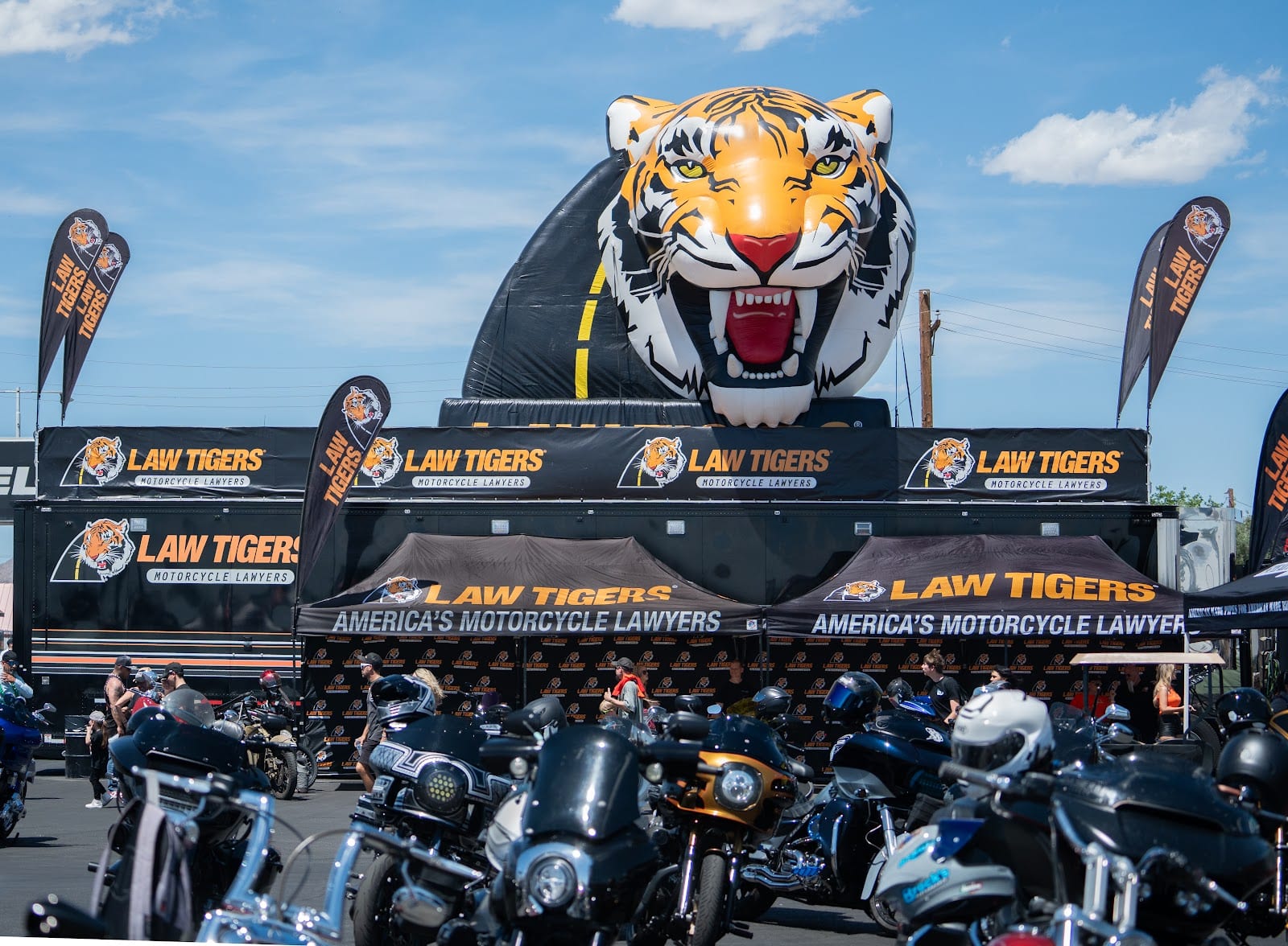 Law Tigers