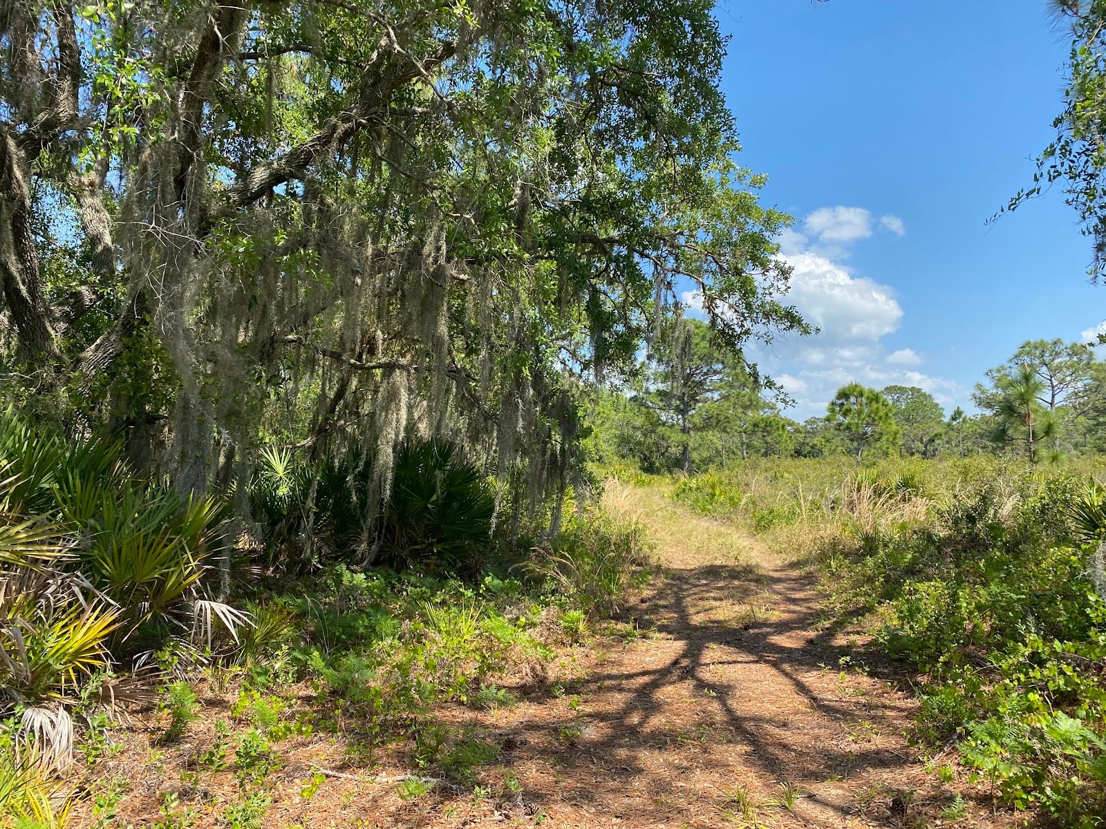 Curry Creek Preserve : East Entrance