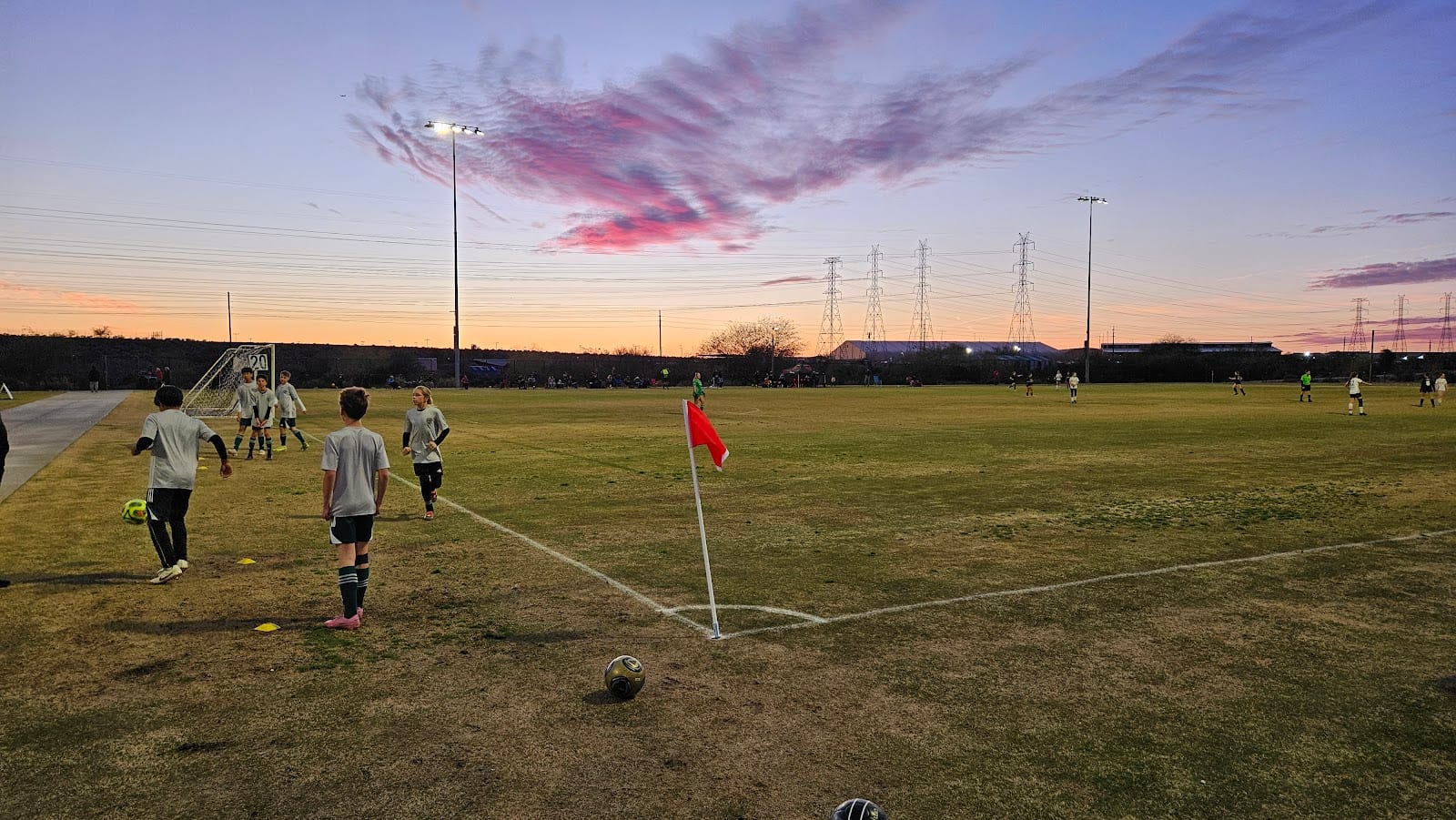 Field 20