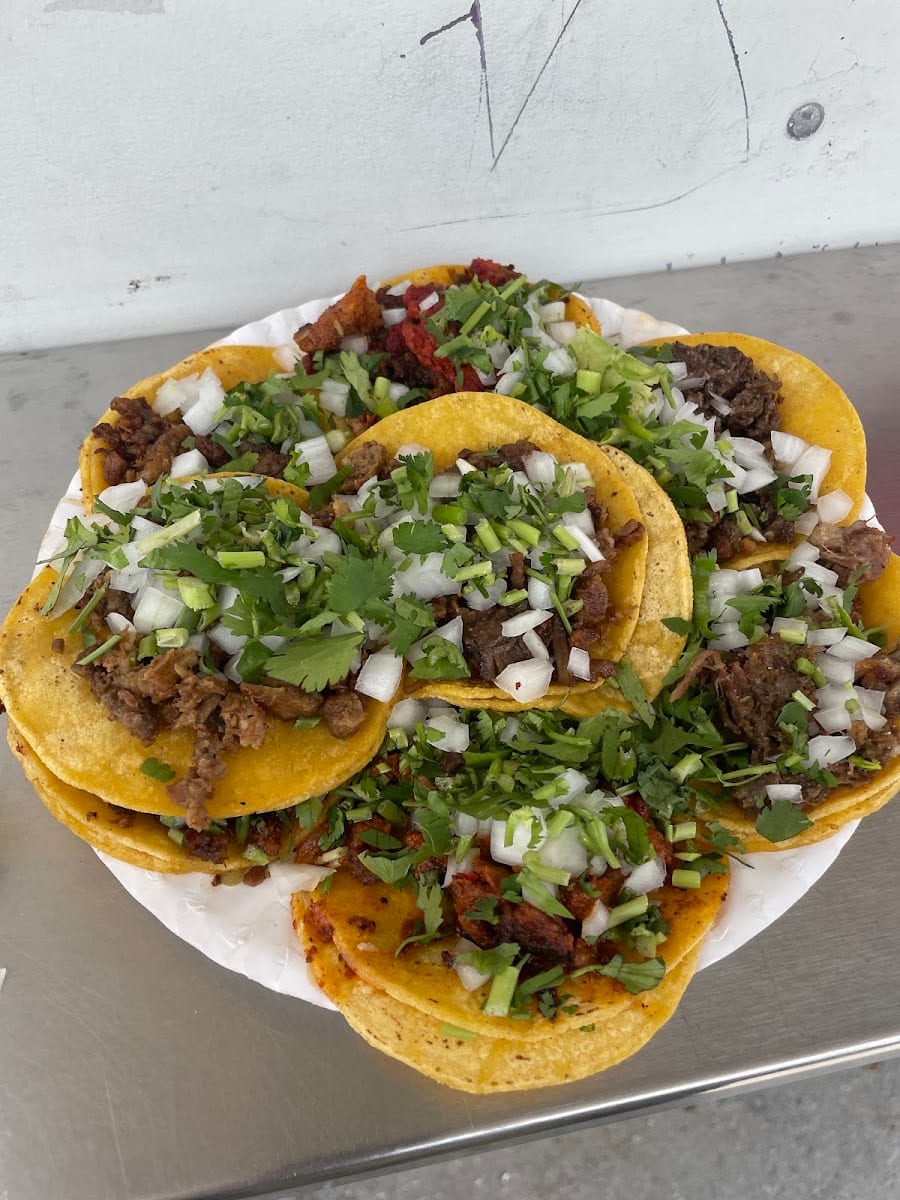Taqueria Mi Castillo