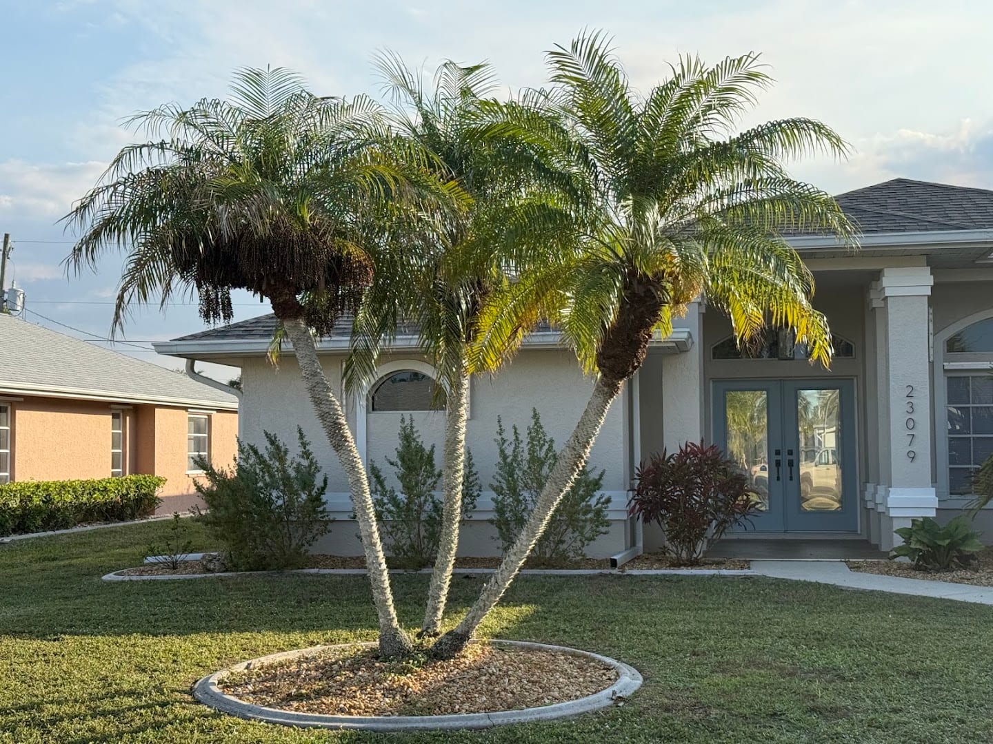 All American Landscaping, photo 2