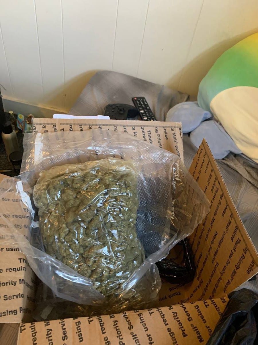 Canabisplug420