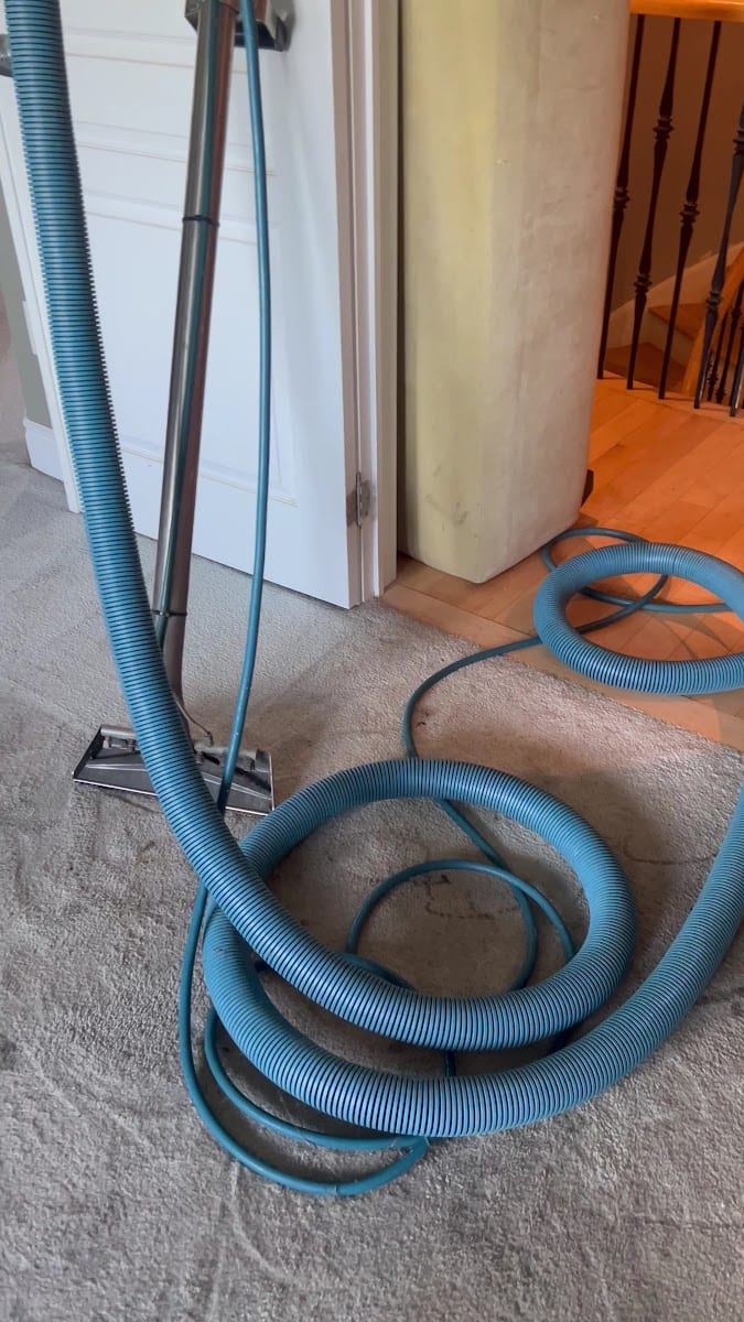 Maple Carpet Cleaning, photo 3