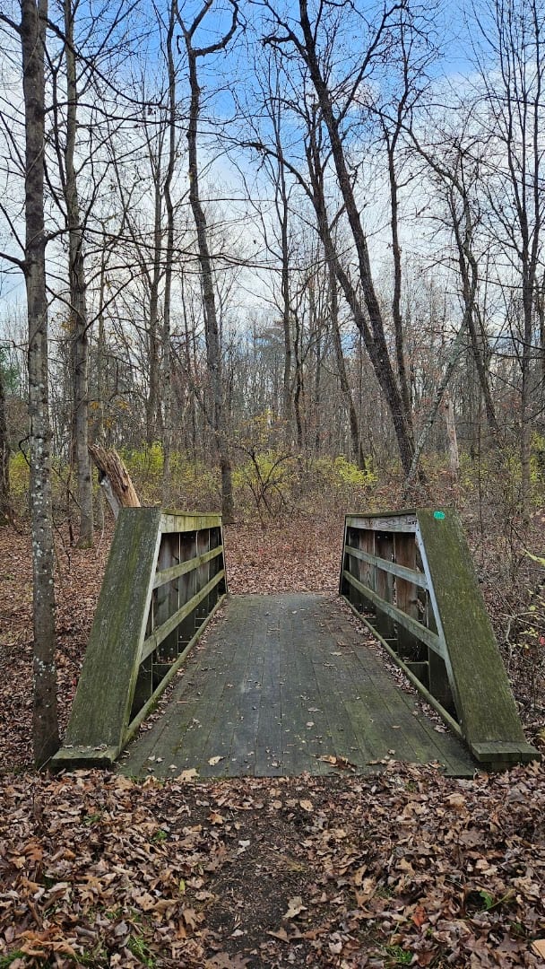 Hemlock Trail, photo 2
