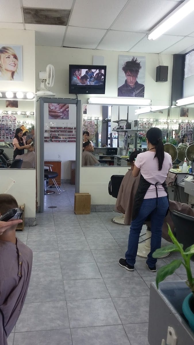 Beauty Express