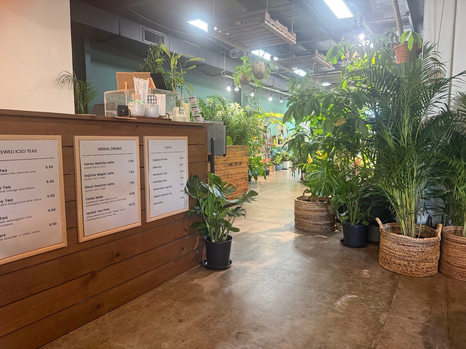 Plantoem Cafe, photo 3
