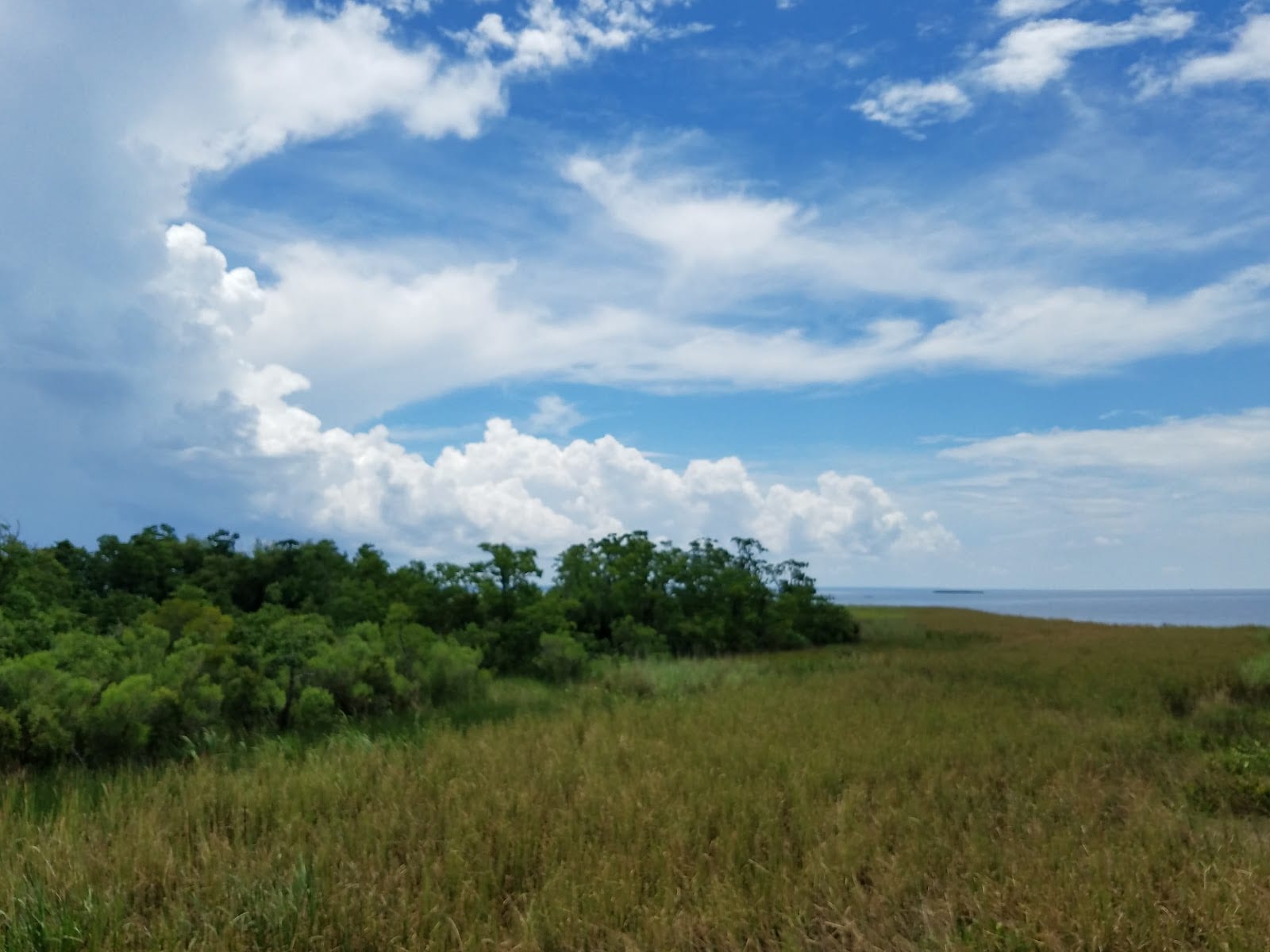 Wildlife Preserve, photo 2