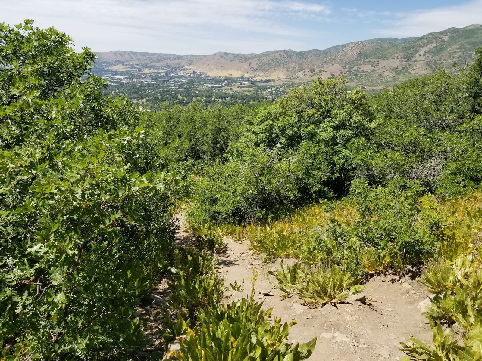 Jacks Peak Trailhead