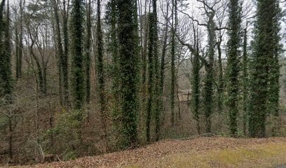 North Georgia Residential Appraisals, LLC