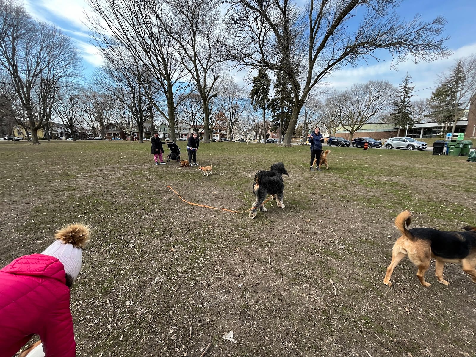 Monarch unleash dog area