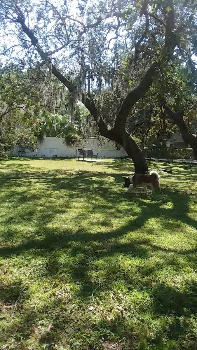 Giddens Park, photo 2