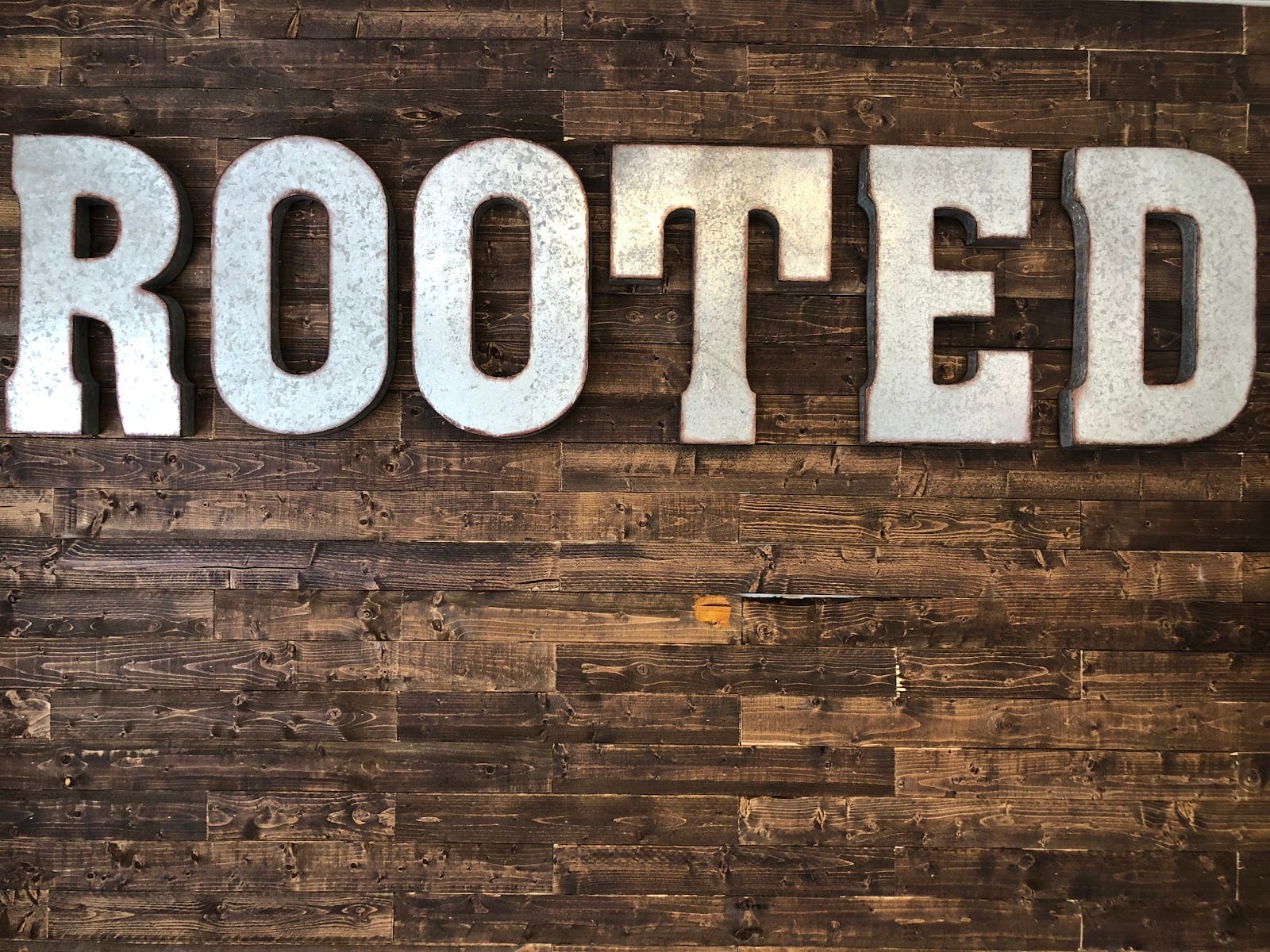 Rooted. A Southern Salon, photo 2