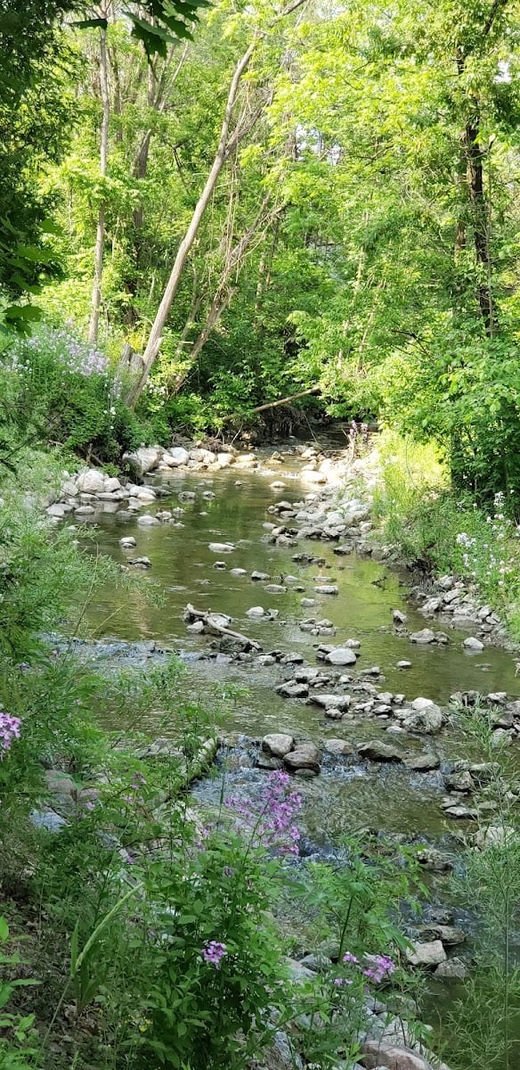 South Richvale Greenway Walk