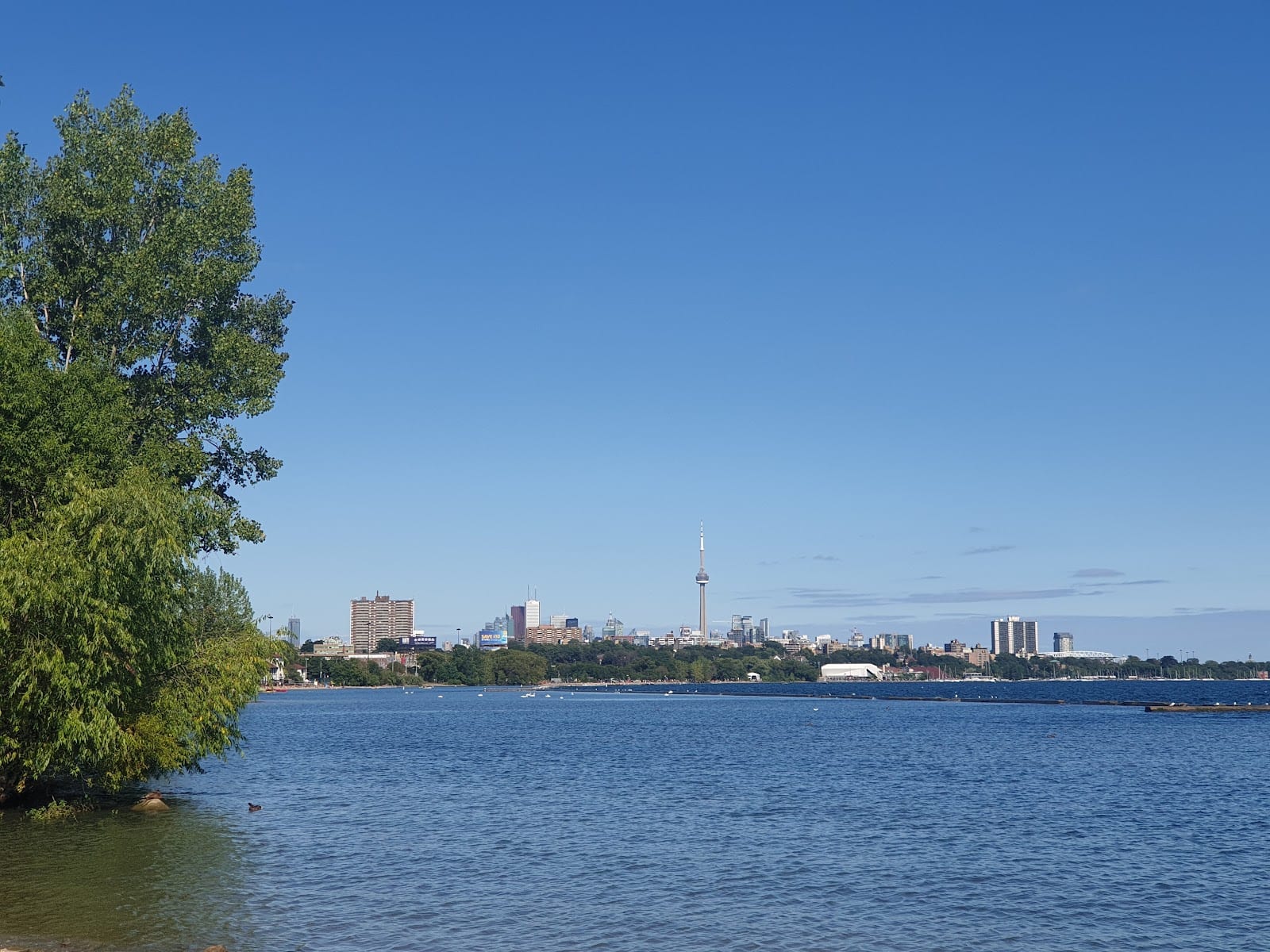 Sir Casimir Gzowski Park